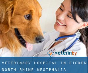 Veterinary Hospital in Eicken (North Rhine-Westphalia)
