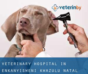 Veterinary Hospital in Enkanyisweni (KwaZulu-Natal)
