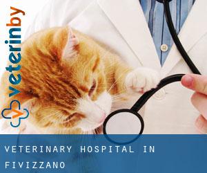 Veterinary Hospital in Fivizzano