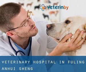 Veterinary Hospital in Fuling (Anhui Sheng)