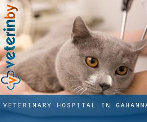 Veterinary Hospital in Gahanna