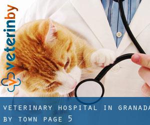 Veterinary Hospital in Granada by town - page 5