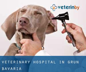 Veterinary Hospital in Grün (Bavaria)