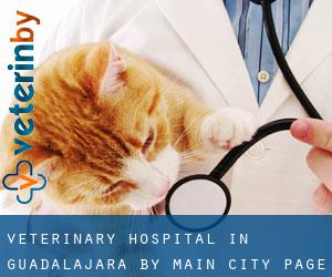Veterinary Hospital in Guadalajara by main city - page 4
