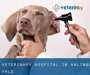 Veterinary Hospital in Halinga vald