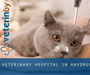 Veterinary Hospital in Havdrup