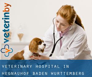 Veterinary Hospital in Hegnauhof (Baden-Württemberg)