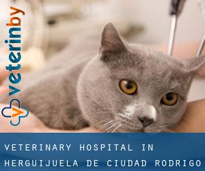 Veterinary Hospital in Herguijuela de Ciudad Rodrigo