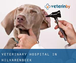 Veterinary Hospital in Hilvarenbeek