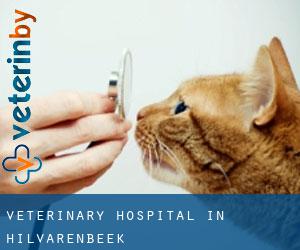 Veterinary Hospital in Hilvarenbeek