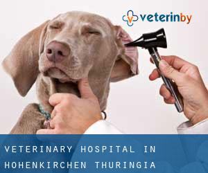 Veterinary Hospital in Hohenkirchen (Thuringia)