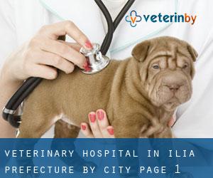 Veterinary Hospital in Ilia Prefecture by city - page 1