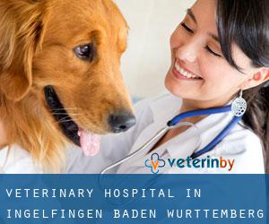 Veterinary Hospital in Ingelfingen (Baden-Württemberg)