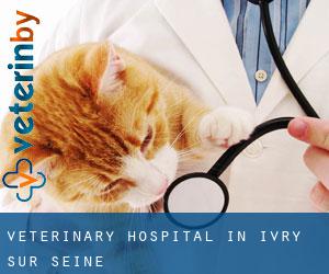 Veterinary Hospital in Ivry-sur-Seine