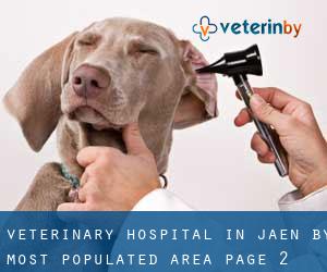 Veterinary Hospital in Jaen by most populated area - page 2