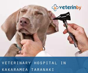 Veterinary Hospital in Kakaramea (Taranaki)