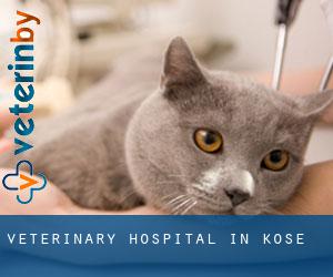 Veterinary Hospital in Köse