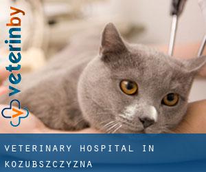 Veterinary Hospital in Kozubszczyzna