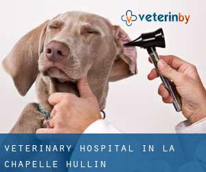 Veterinary Hospital in La Chapelle-Hullin