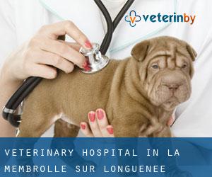 Veterinary Hospital in La Membrolle-sur-Longuenée