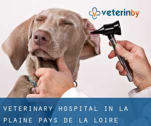 Veterinary Hospital in La Plaine (Pays de la Loire)