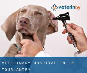 Veterinary Hospital in La Tourlandry