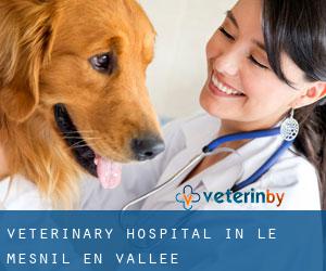 Veterinary Hospital in Le Mesnil-en-Vallée