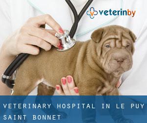 Veterinary Hospital in Le Puy-Saint-Bonnet