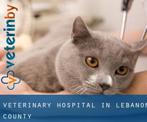Veterinary Hospital in Lebanon County