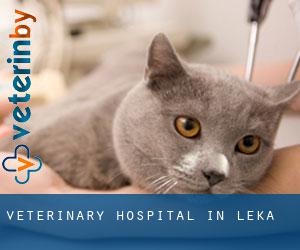 Veterinary Hospital in Leka
