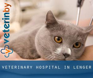Veterinary Hospital in Lenger