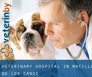 Veterinary Hospital in Matilla de los Caños