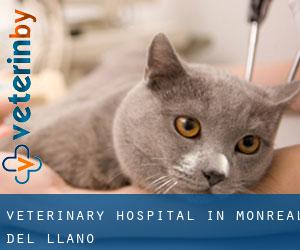 Veterinary Hospital in Monreal del Llano