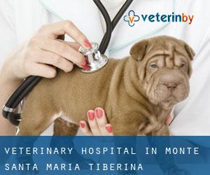 Veterinary Hospital in Monte Santa Maria Tiberina