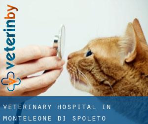 Veterinary Hospital in Monteleone di Spoleto