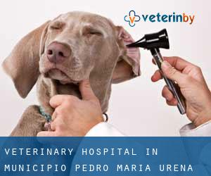 Veterinary Hospital in Municipio Pedro María Ureña