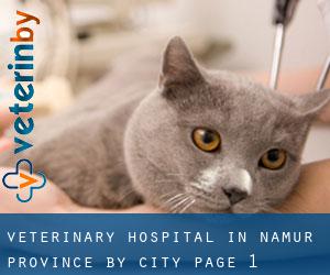 Veterinary Hospital in Namur Province by city - page 1