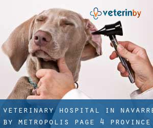 Veterinary Hospital in Navarre by metropolis - page 4 (Province)