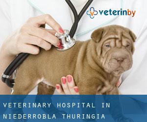 Veterinary Hospital in Niederroßla (Thuringia)
