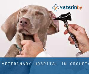 Veterinary Hospital in Orcheta