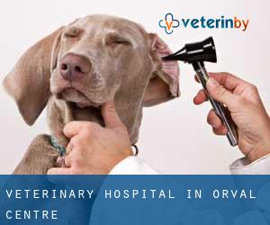 Veterinary Hospital in Orval (Centre)