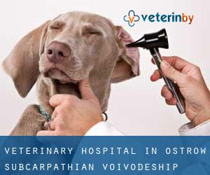 Veterinary Hospital in Ostrów (Subcarpathian Voivodeship)