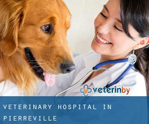 Veterinary Hospital in Pierreville