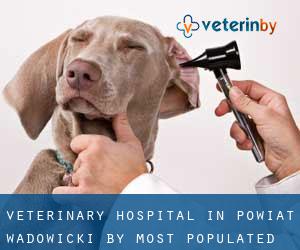 Veterinary Hospital in Powiat wadowicki by most populated area - page 1
