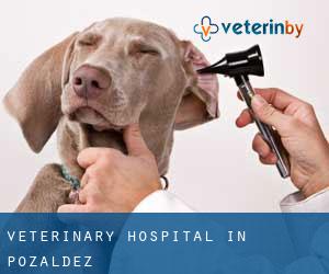 Veterinary Hospital in Pozaldez