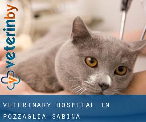 Veterinary Hospital in Pozzaglia Sabina