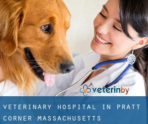 Veterinary Hospital in Pratt Corner (Massachusetts)