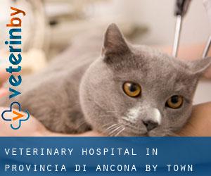 Veterinary Hospital in Provincia di Ancona by town - page 1