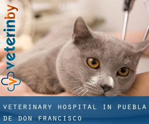 Veterinary Hospital in Puebla de Don Francisco