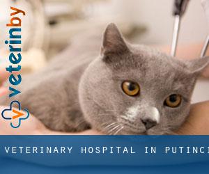 Veterinary Hospital in Putinci